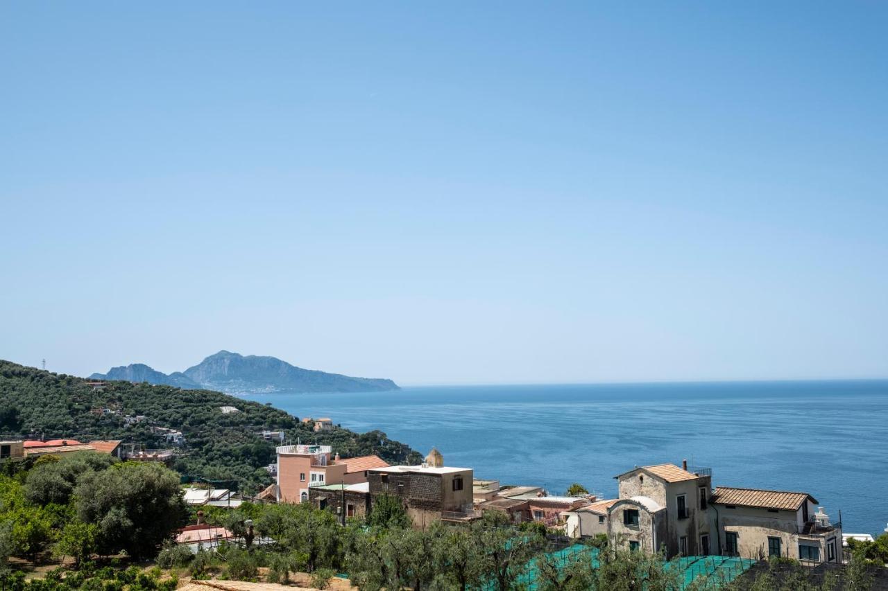 Neva Suites Massa Lubrense Sorrento Coast المظهر الخارجي الصورة