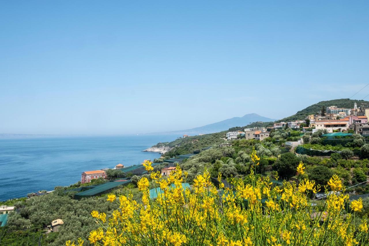 Neva Suites Massa Lubrense Sorrento Coast المظهر الخارجي الصورة