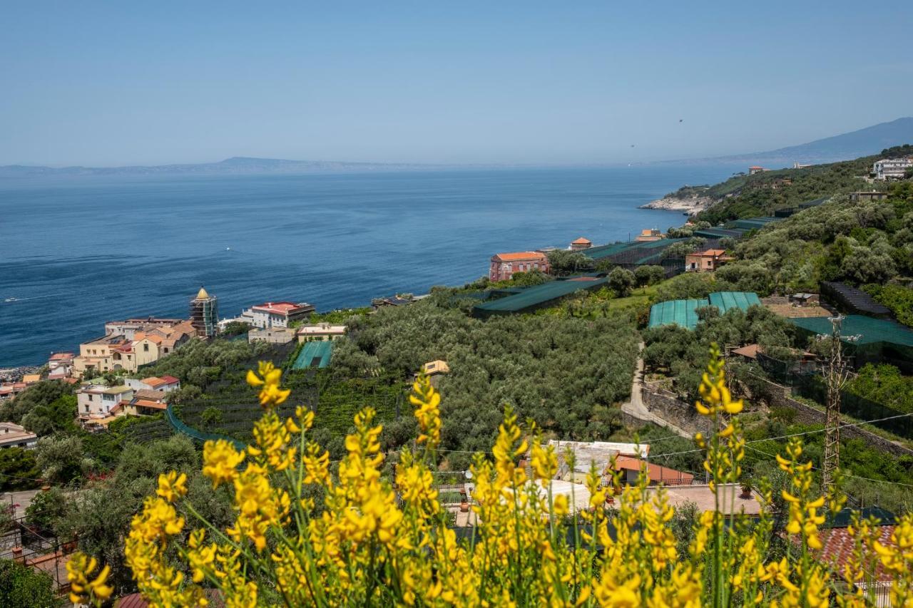Neva Suites Massa Lubrense Sorrento Coast المظهر الخارجي الصورة
